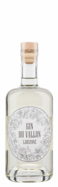 Citadelle Artisanal Dry Gin 44% 70cl (copie)