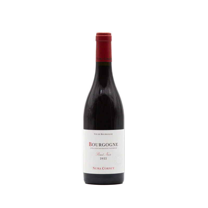 Côte du Rhône Rive Droite Luc Baudet 2019 14.5% 75cl (copie)
