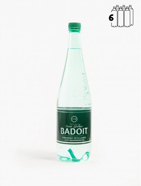 Badoit PET 6x100cl