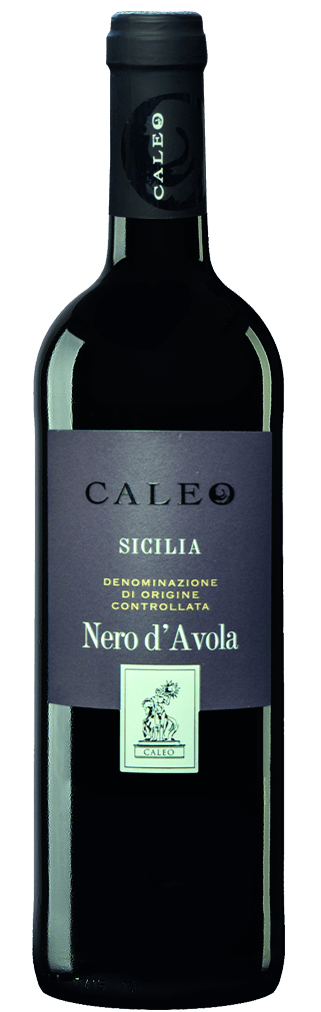 Negroamaro Del Salento Caléo IGP 2017 75cl (copie)