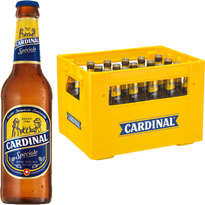 Feldschlösschen Original 4.8% VC 20x50cl (copie)