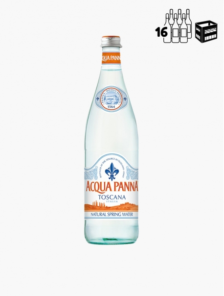 Acqua Panna VC 16x75cl